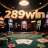 289windota.com favicon